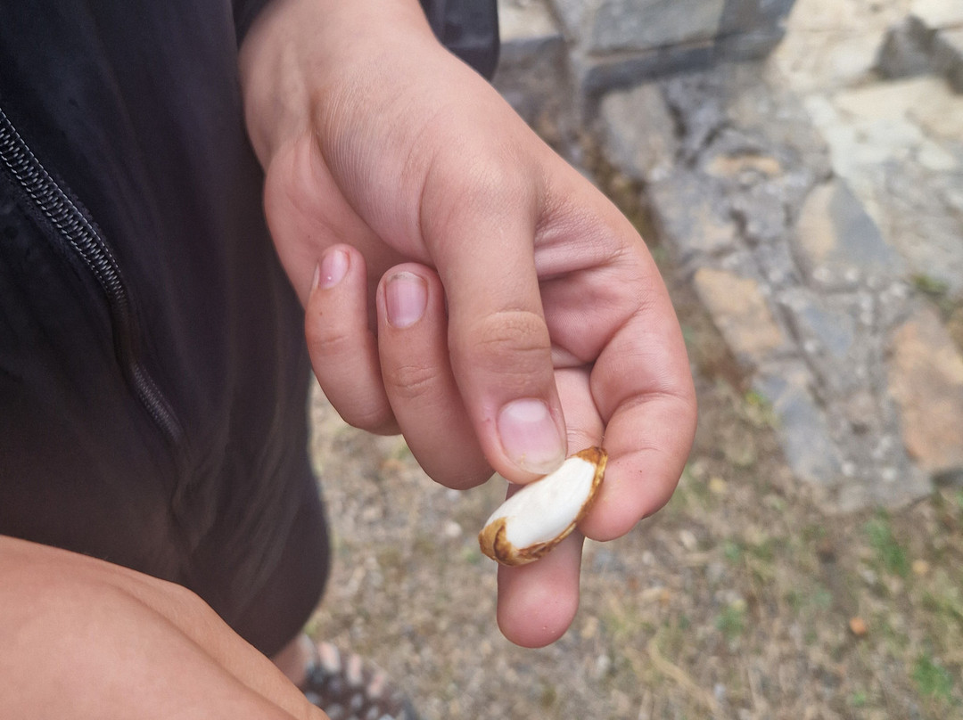 Go Crete Safari-马利亚必去景点