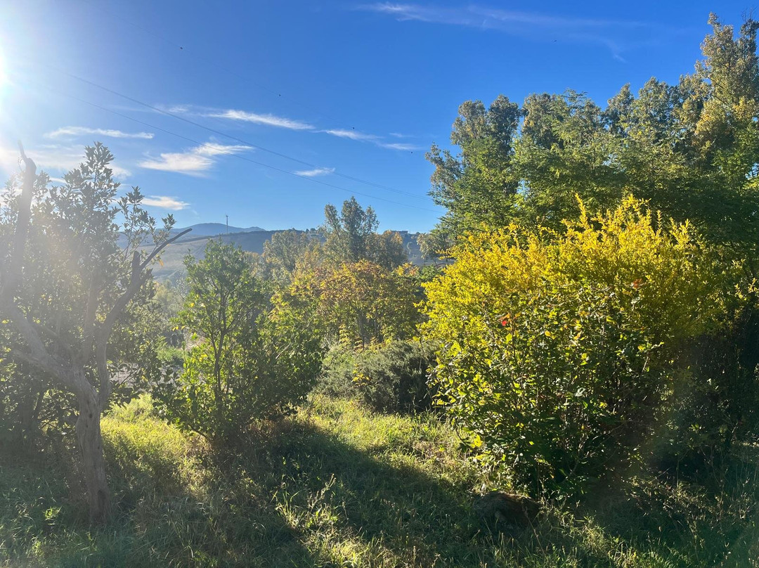 Taverna Centomani主图