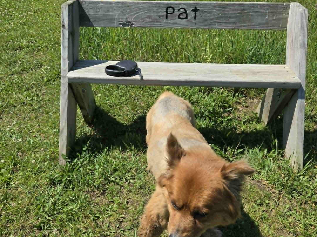 Tails to Tails No Leash Dog Park-Waupaca必去景点