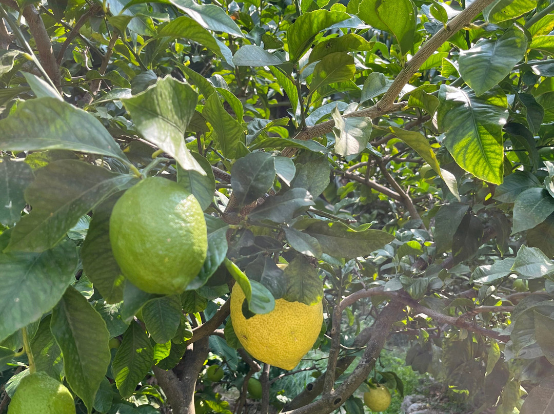 Maison Gannac-芒通必去景点