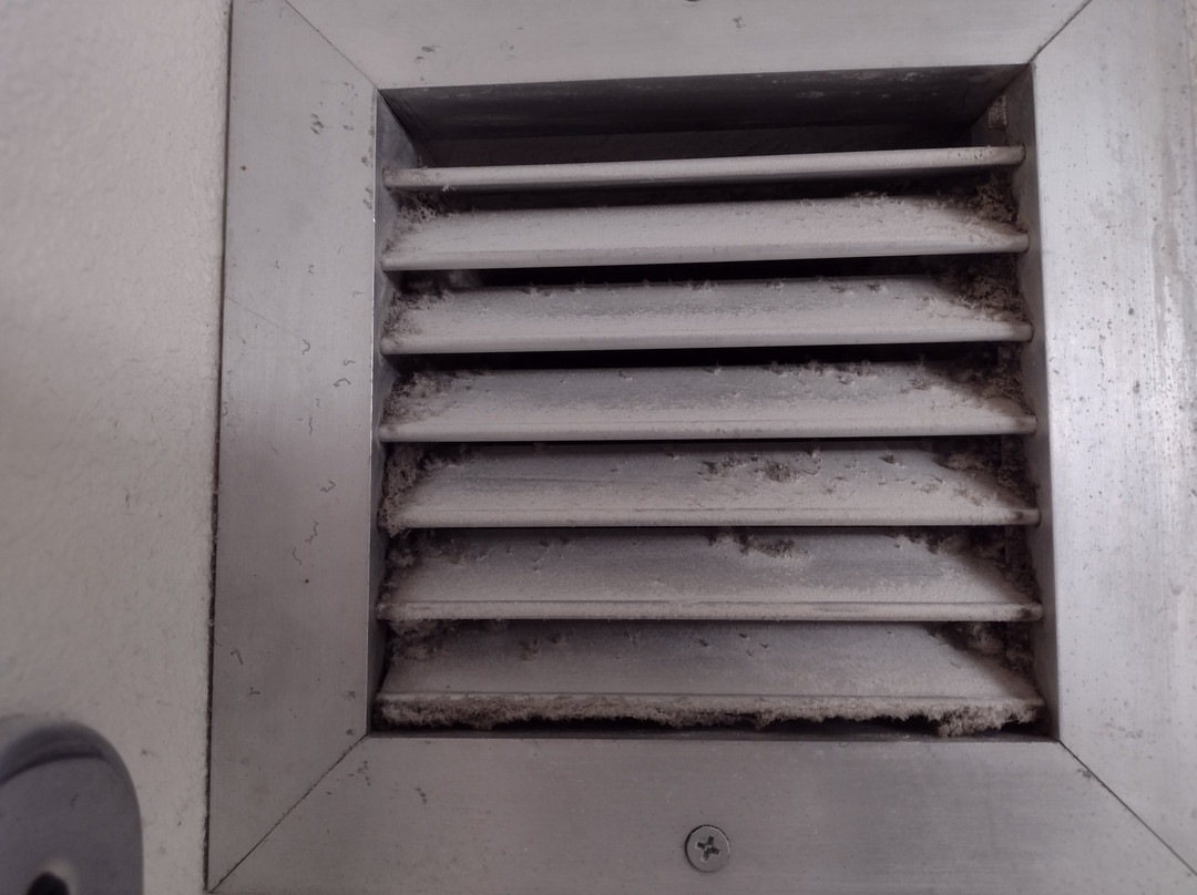 New Hope Inn & Suites主图