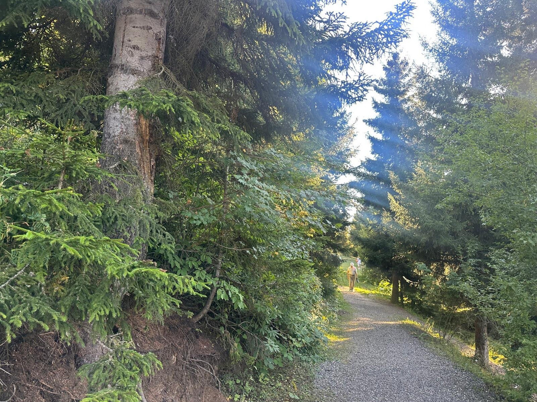 Yavuzköy orman parkı Seyir yeri-Savsat必去景点