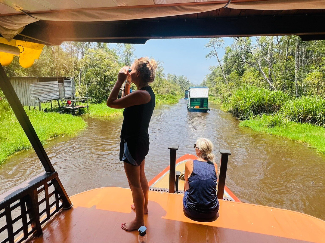 Orangutan Houseboat Tour-Kumai必去景点