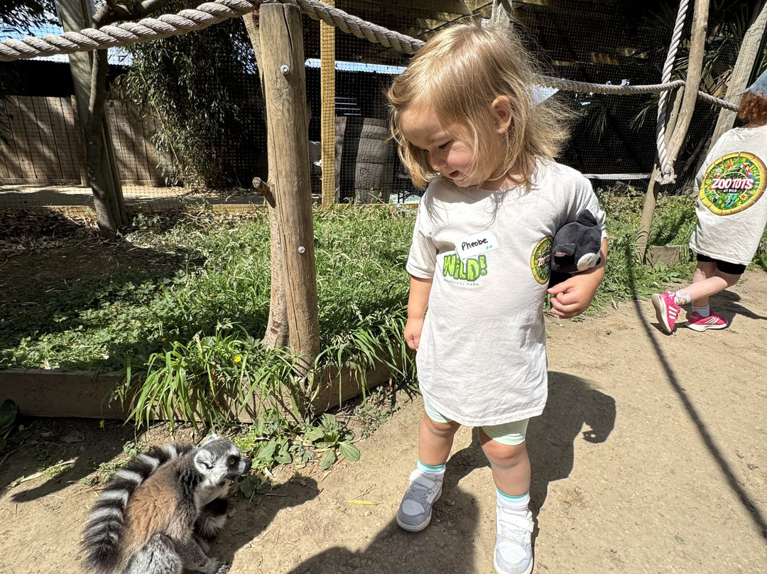 Wild Zoological Park-Bobbington必去景点