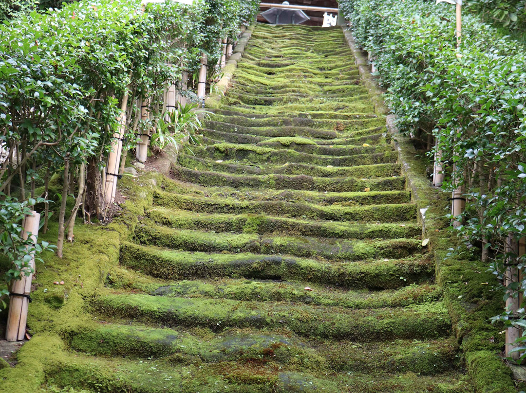 Stairs of Moss-镰仓市必去景点