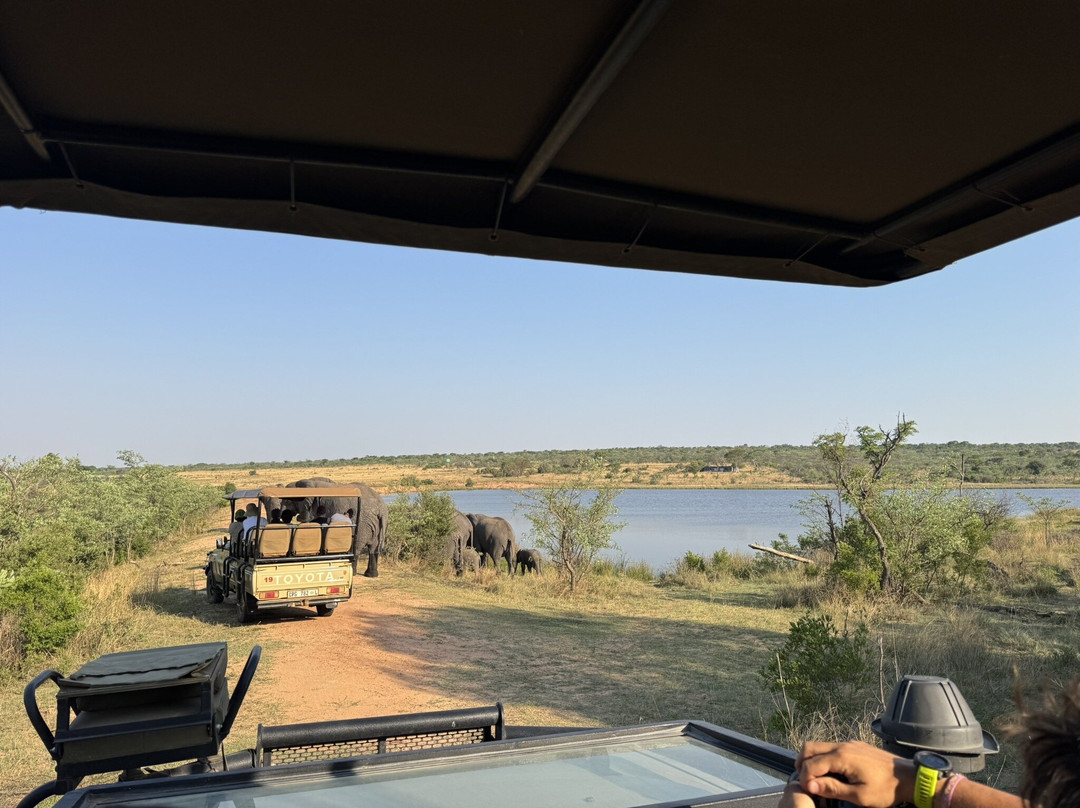 Honeyguide Conservation Lodge