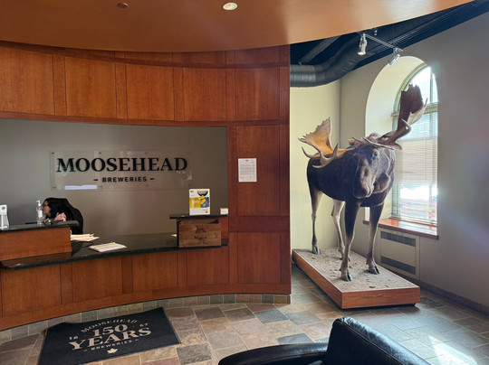 Hugo Bus Tours and Shore Excursions-圣约翰必去景点