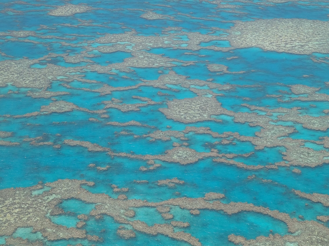 Fly Australia Charter-悉尼必去景点