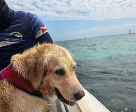 Praia De Rio Do Fogo