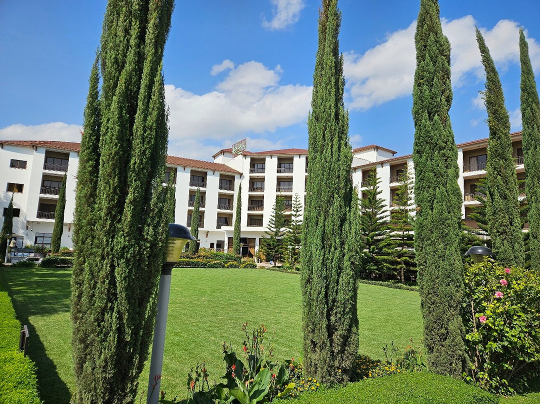 Haile Resort - Adama主图