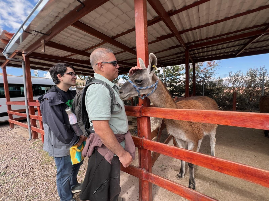 TOURGUIDEPERU - Tours tailored by Aaron-利马必去景点