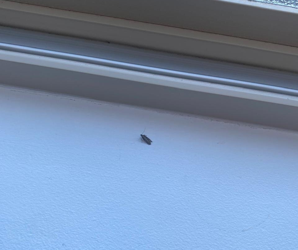 莱福希尔顿恒庭旅馆&套房酒店主图