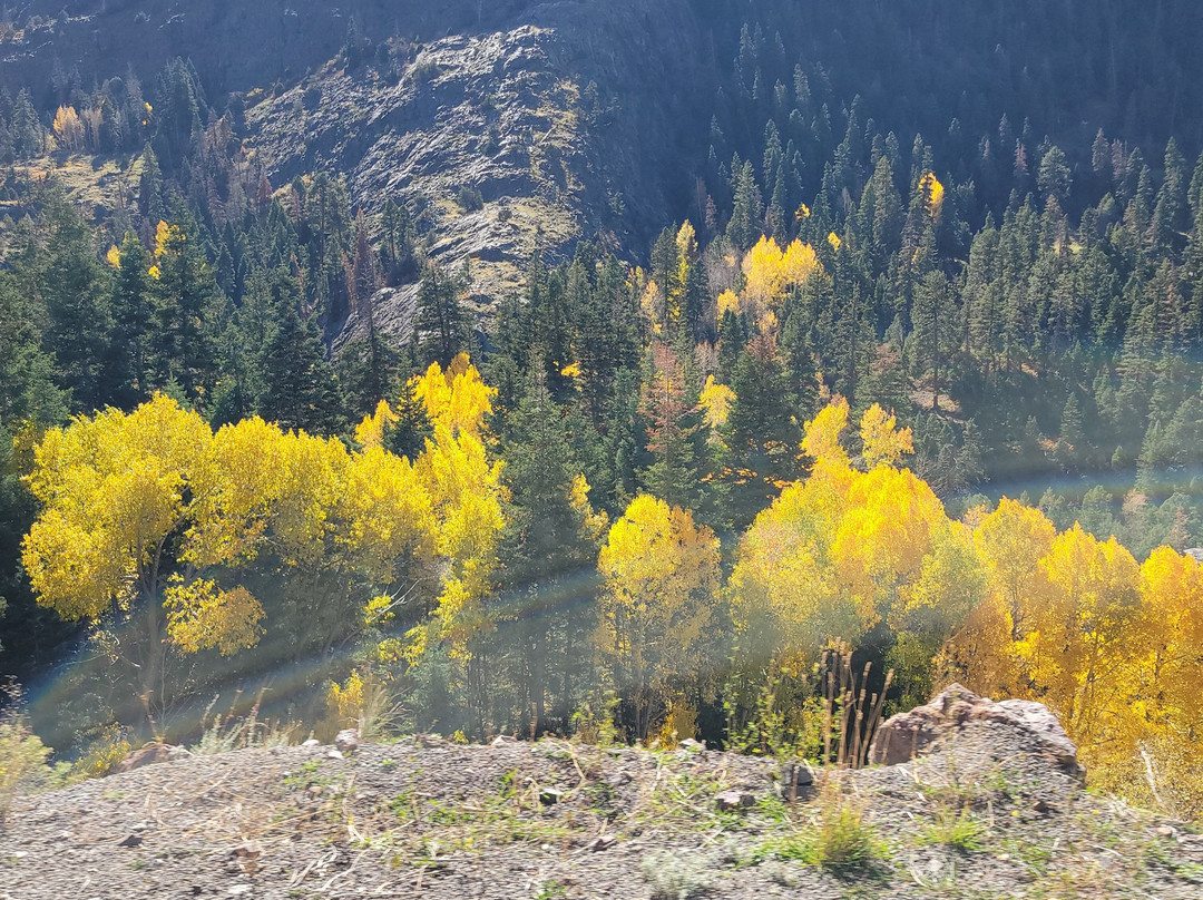 Best Western Plus Rio Grande Inn主图