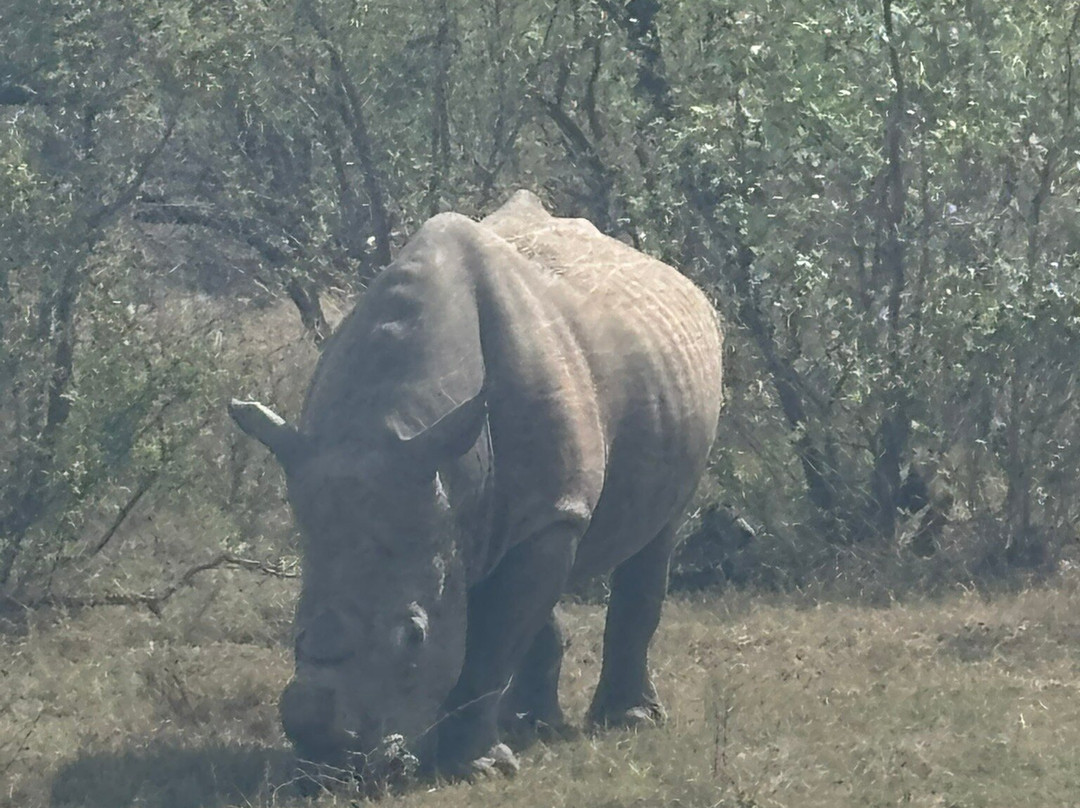 Southern Kruger Safaris-玛洛斯帕克必去景点