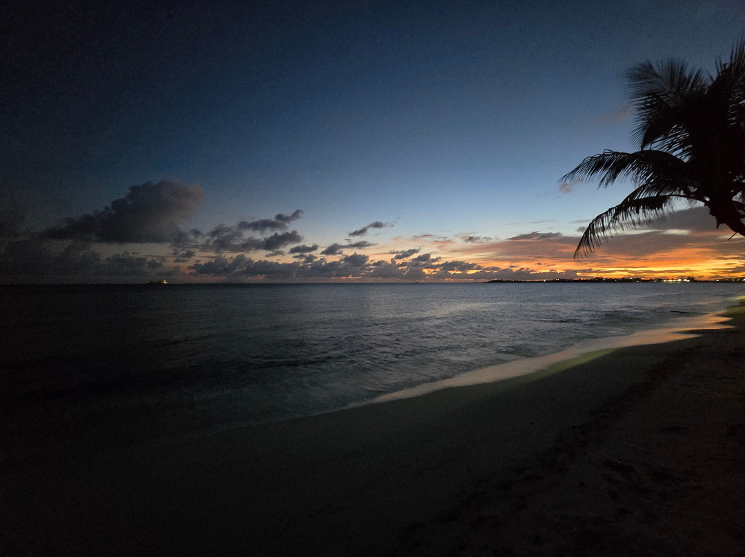 The Horny Toad Guest House主图