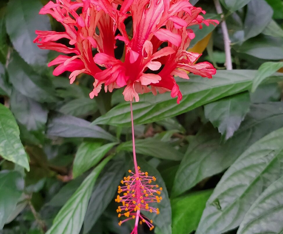 Mitchell Park Horticultural Conservatory (The Domes)-密尔沃基必去景点