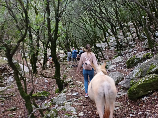 Donkey Trekking Kefalonia-萨米必去景点