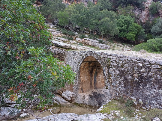 Donkey Trekking Kefalonia-萨米必去景点