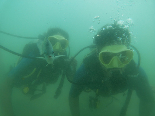 Porto Point-嘎林海斯港必去景点