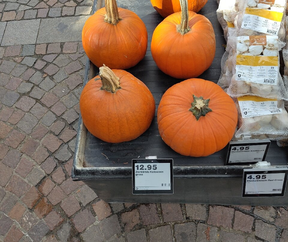 Mathis-Hof-Bottmingen必去景点