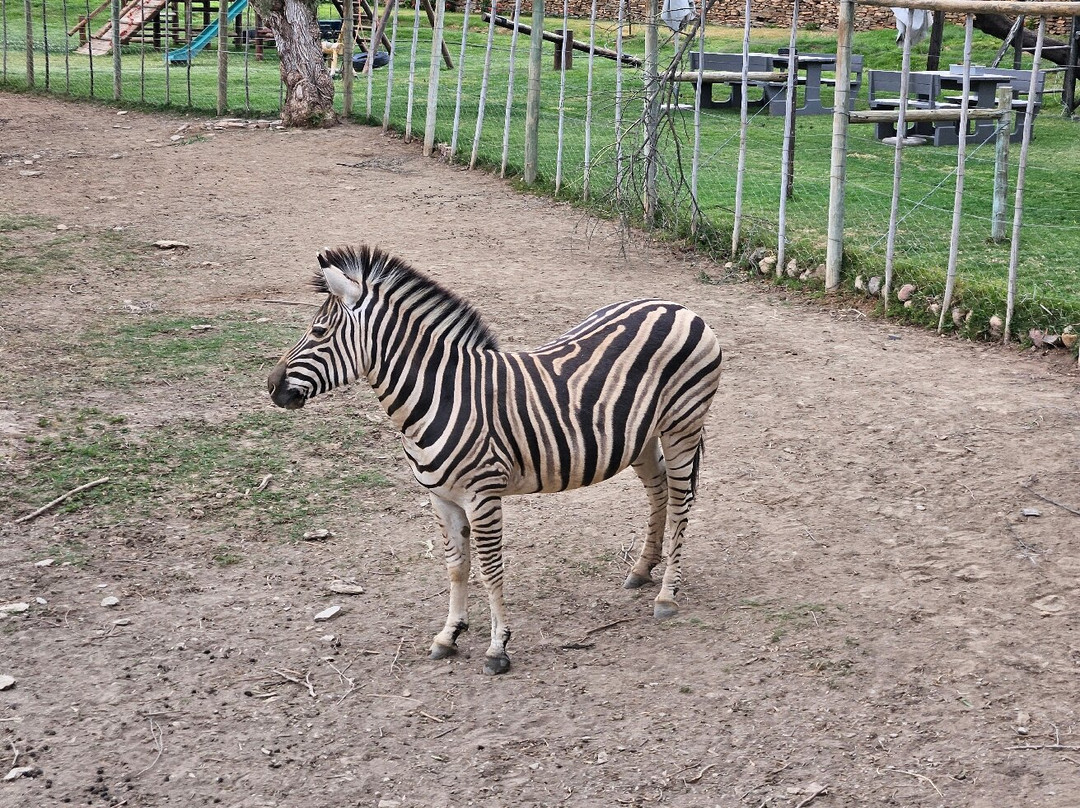 Chandelier Game Lodge & Ostrich Show Farm-奥兹洪必去景点