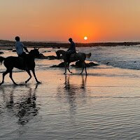 Horse Sidi Rahal-Sidi Rahal必去景点