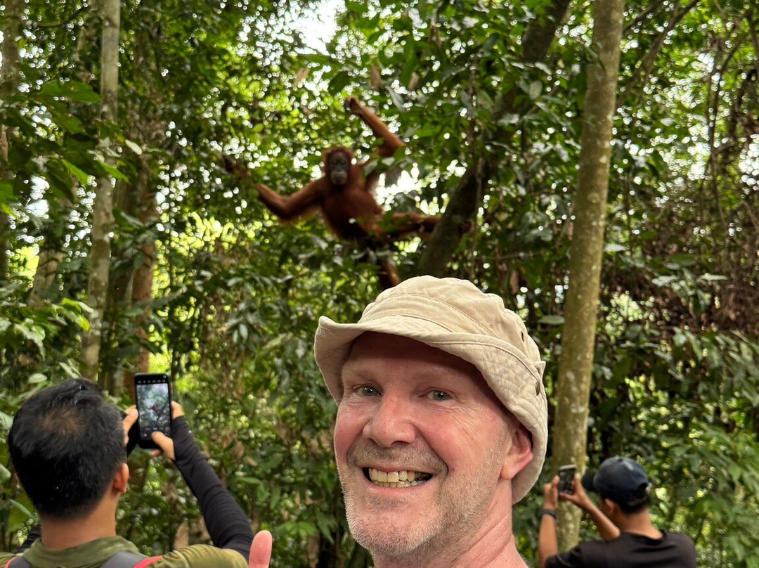 Orangutan Experience-武吉拉旺必去景点