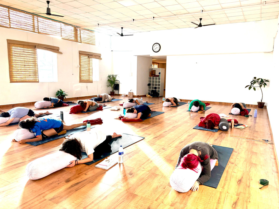 Vinyasa Yogashala-Tapovan必去景点