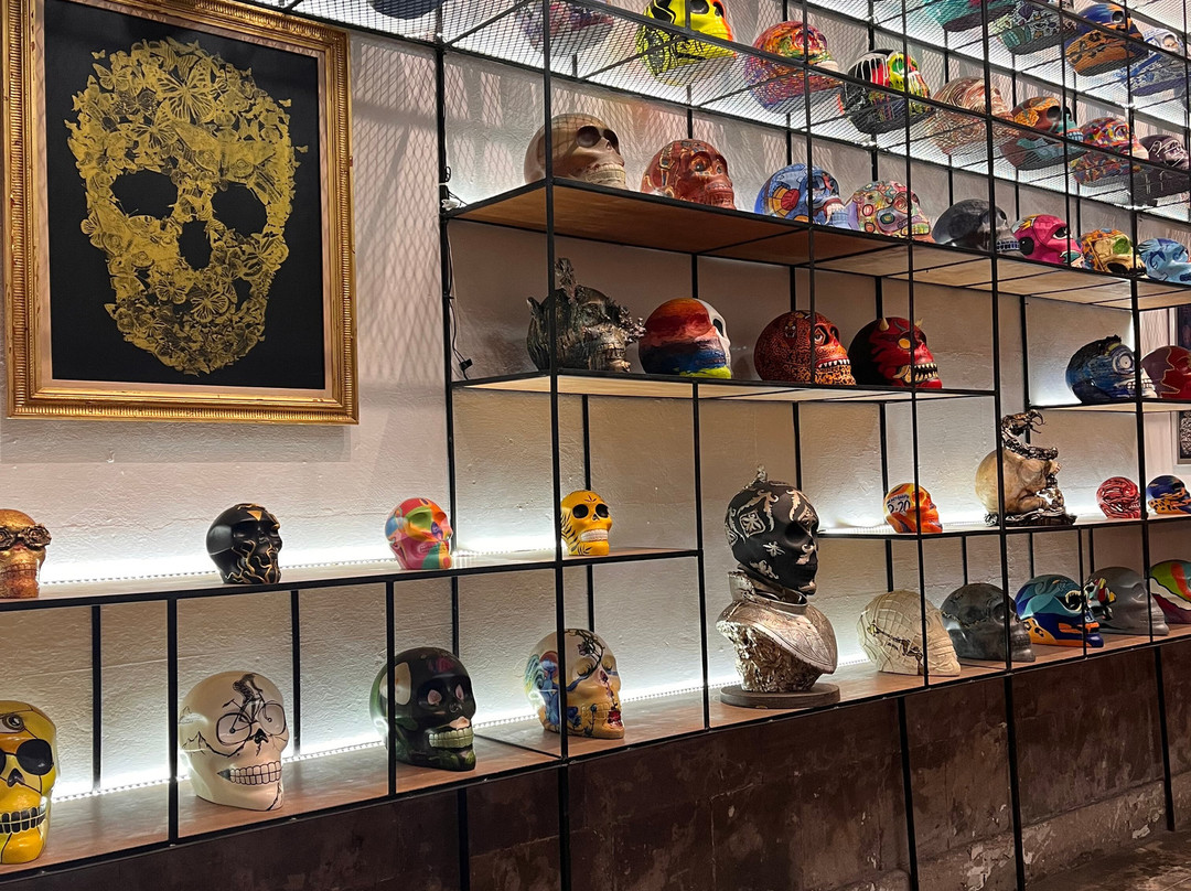 Casa Jacaranda-墨西哥城必去景点