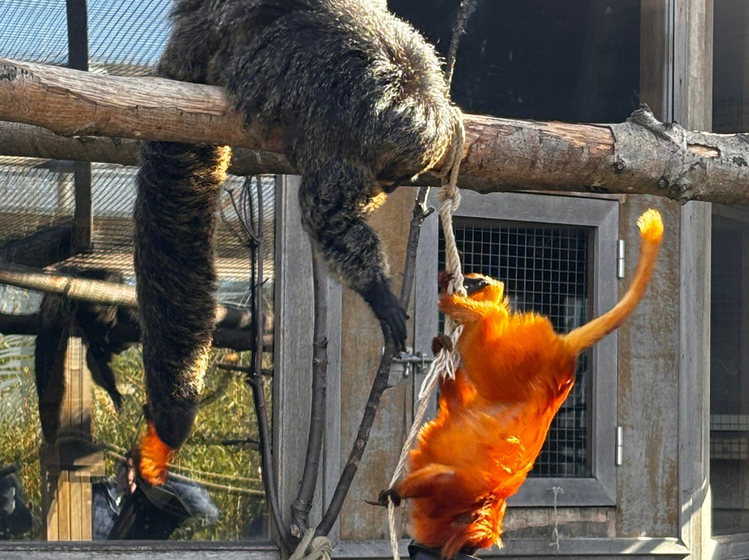 Bio-topia-敦克尔克必去景点