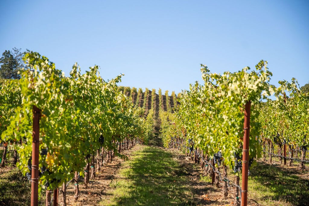 Flanagan Winery-希尔兹堡必去景点