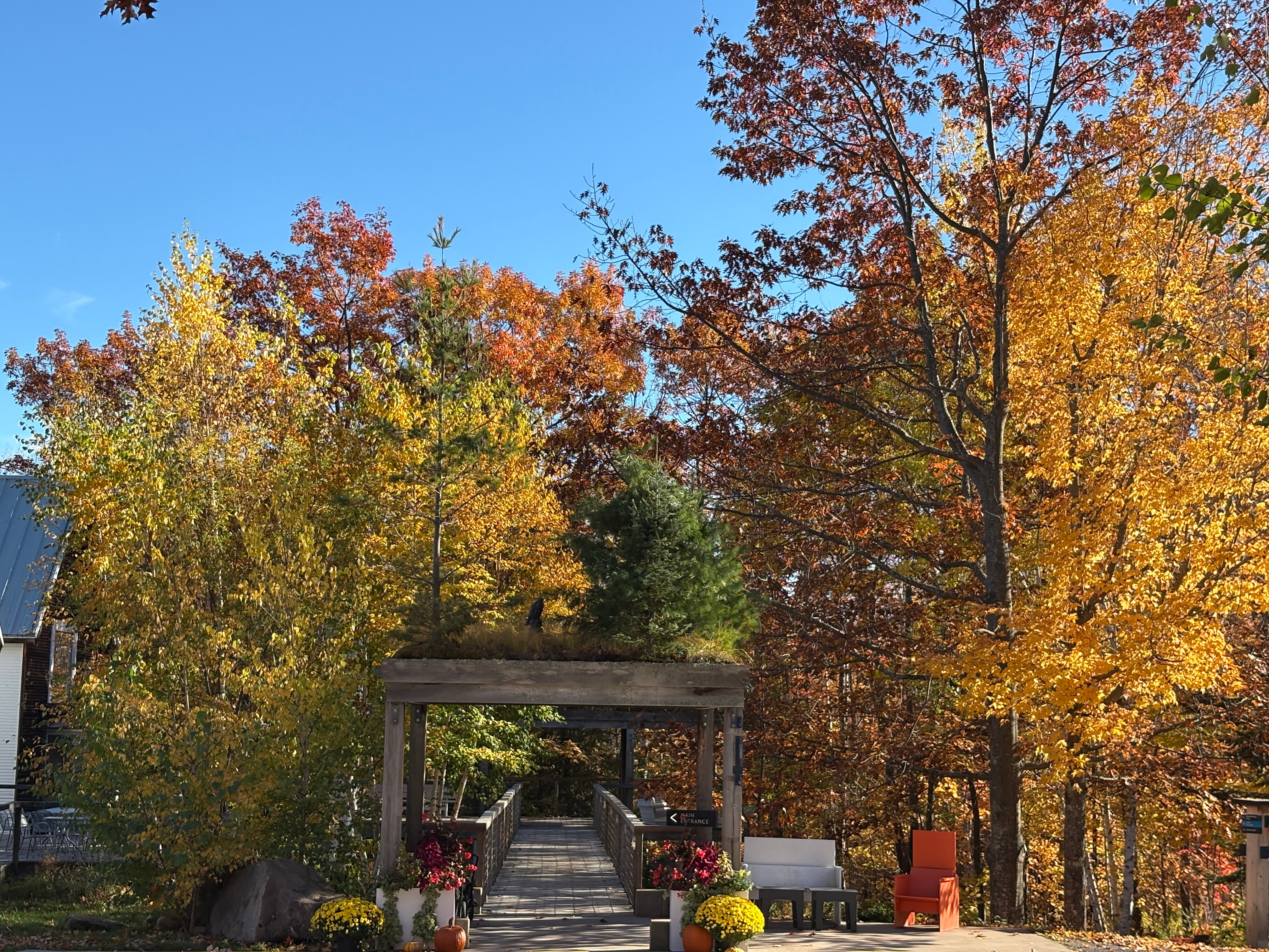 Wild Rice Retreat-官方