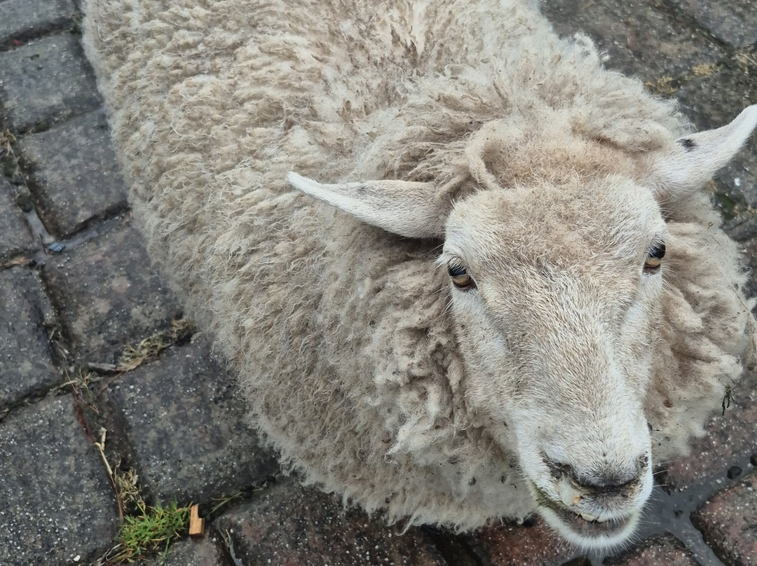里士满哈克斯庄园酒店主图