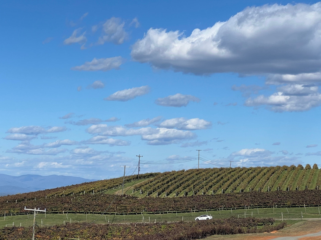 Carter Mountain Orchard-夏洛茨维尔必去景点