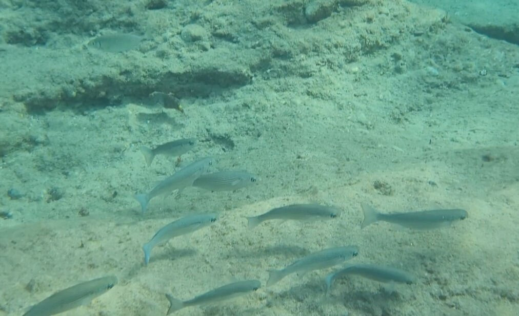 Spilies Beach-Lavris必去景点