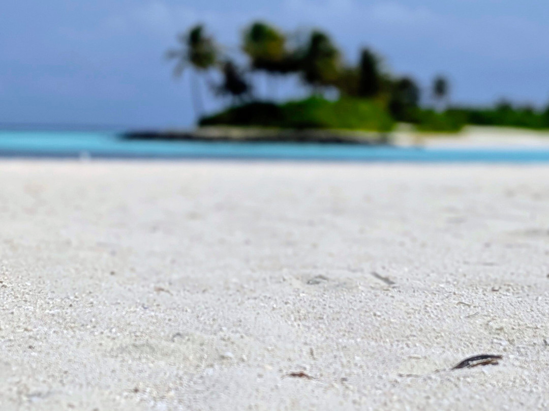 Blue Water Freediving School-伦敦必去景点