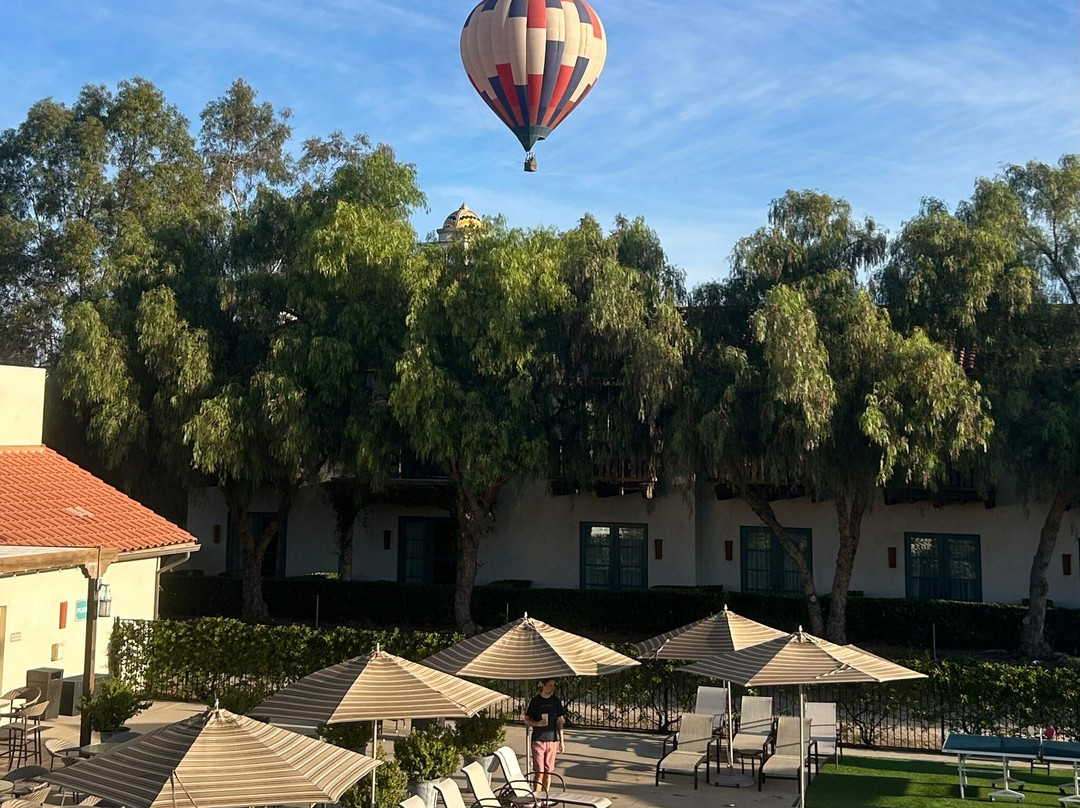 Ponte Winery-特曼库拉必去景点