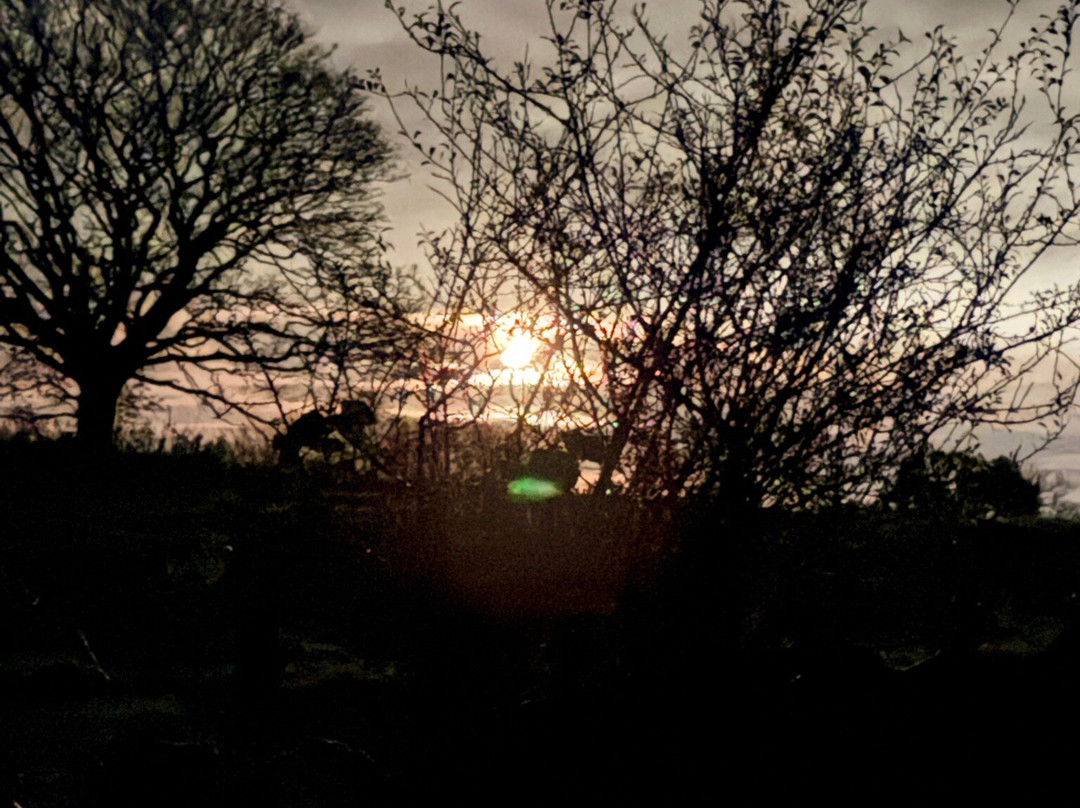 Wanderlusts Gypsy Caravans-彭里斯必去景点