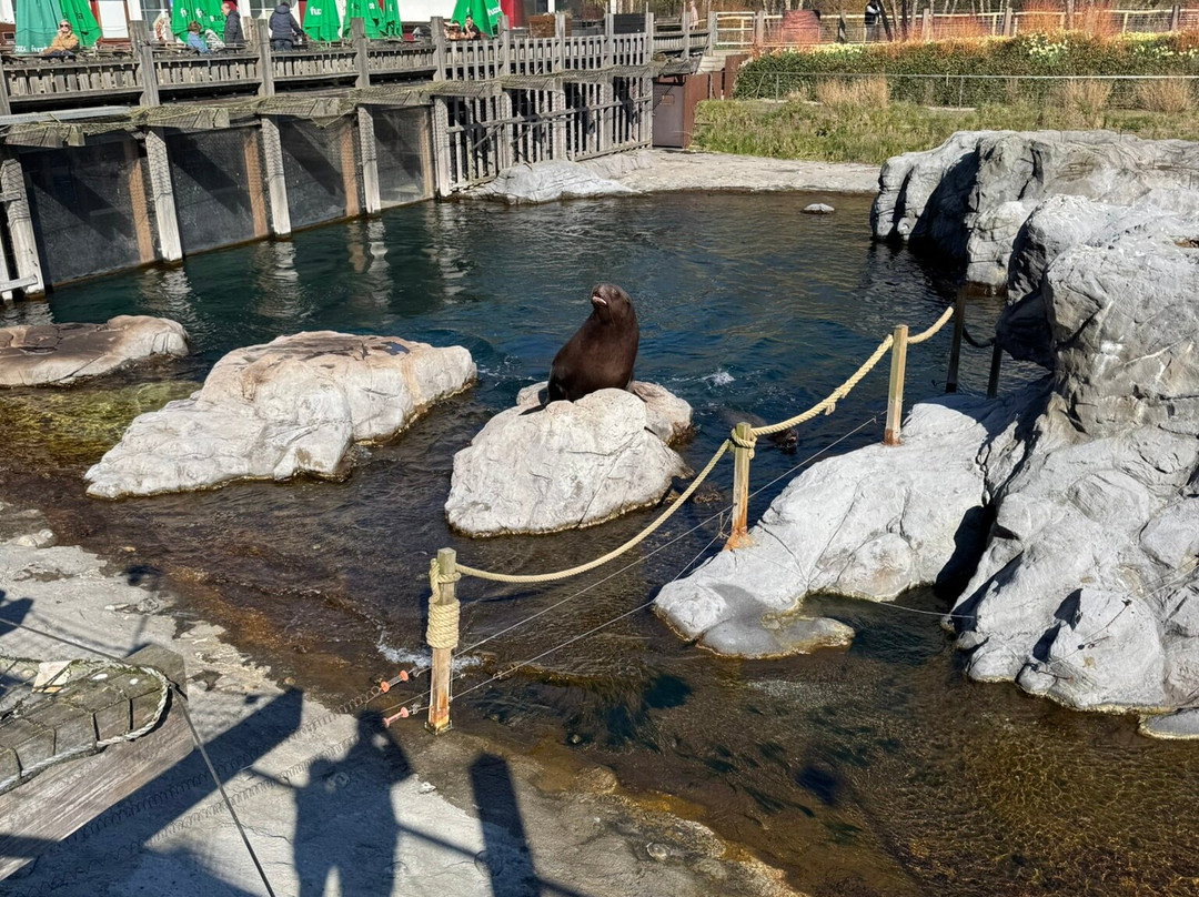 Pairi Daiza Resort主图