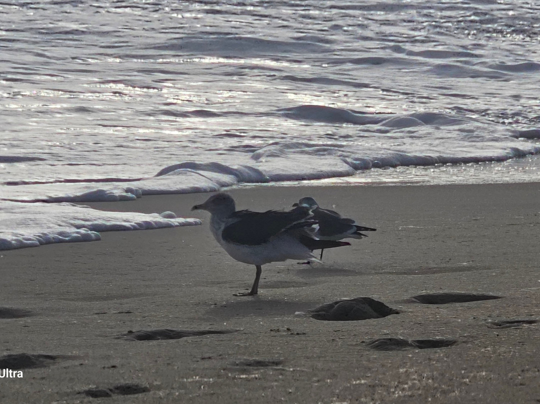 Mariner Inn & Suites主图