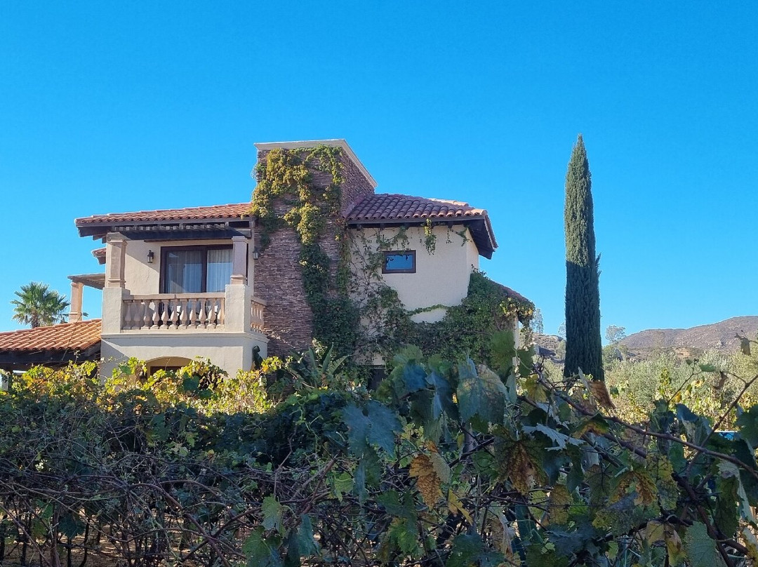 El Cielo Valle de Guadalupe-Valle de Guadalupe必去景点