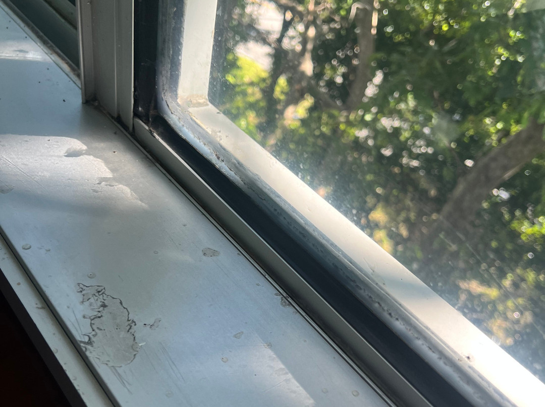 迈阿密达德尔兰德靛蓝酒店主图