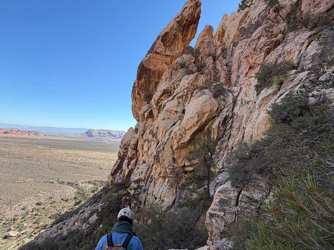 Mountain Skills Rock Guides, LLC-道师城必去景点