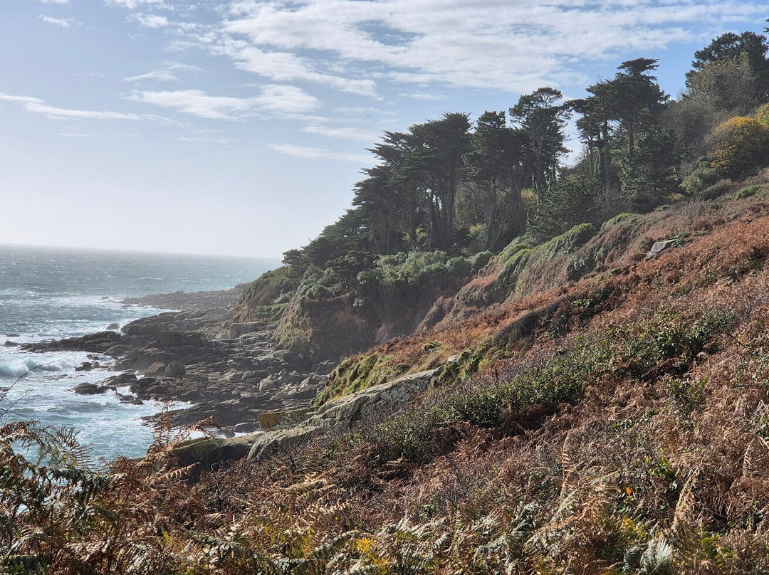 Mousehole to Lamorna Cove Circular Walk-Mousehole必去景点