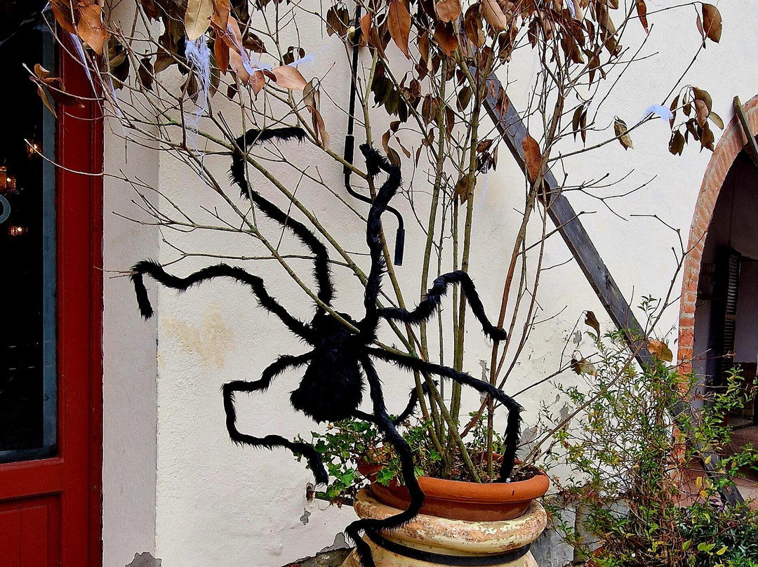 La Bandita Country Hotel主图