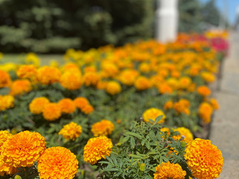 Excursions Sputnik-莫斯科必去景点