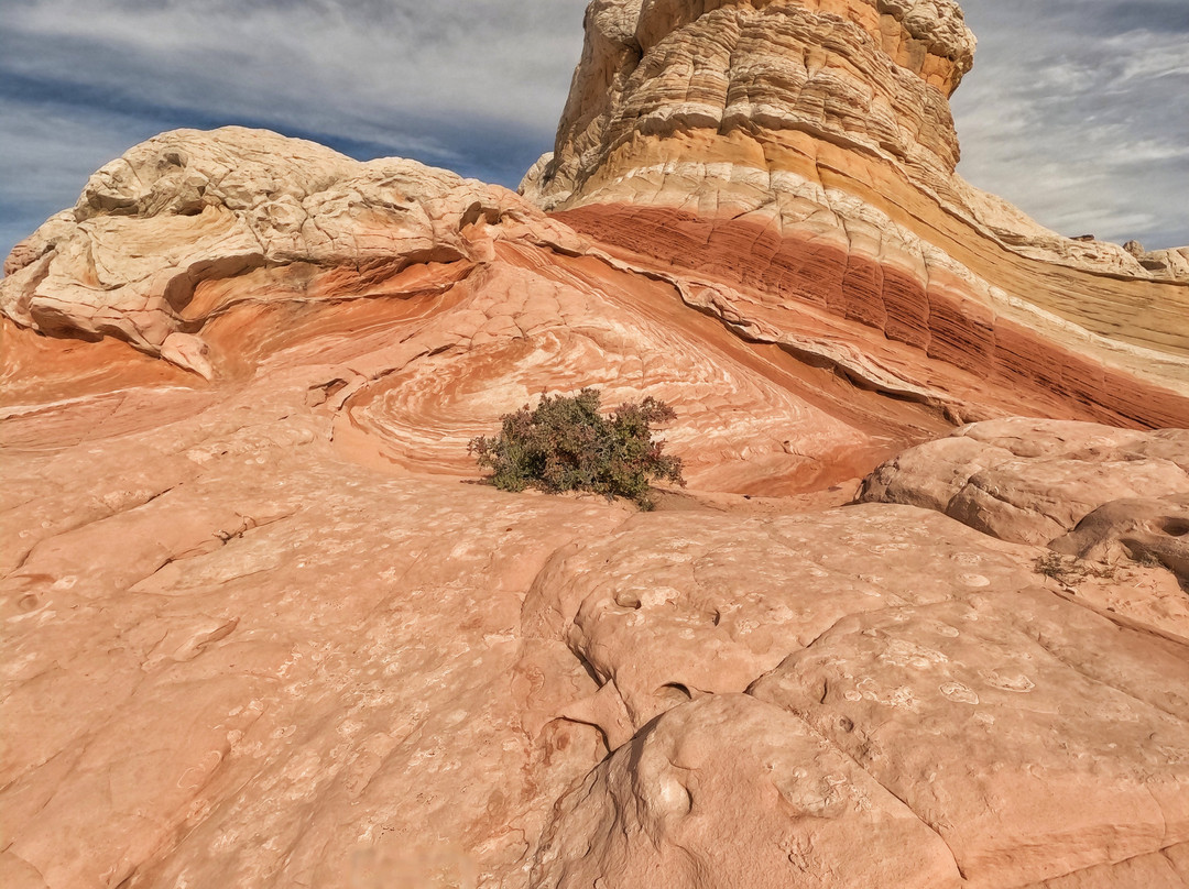 East Zion Adventures-Orderville必去景点