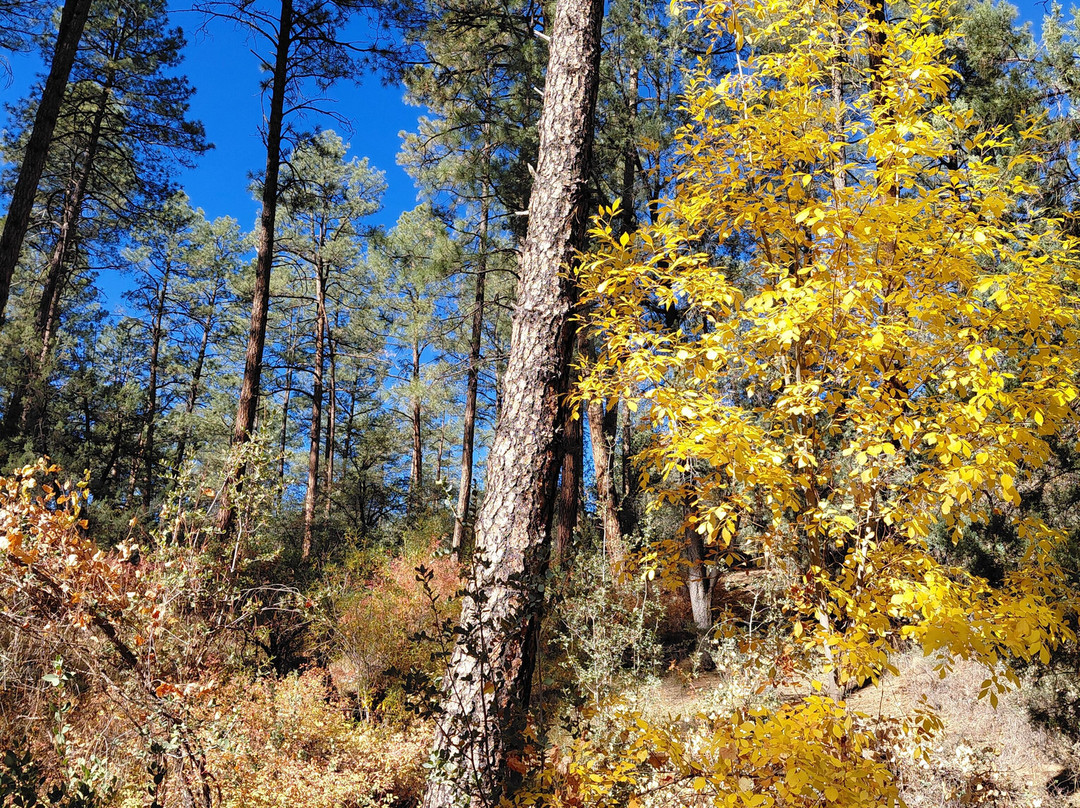 Lynx Lake Recreation Area-普雷斯科特必去景点