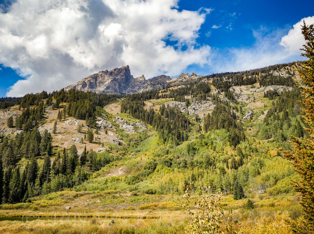 Moose Pond-提顿村必去景点