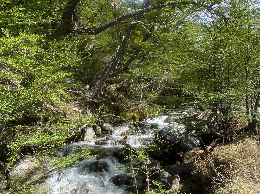Glaciar Martial-Province of Tierra del Fuego必去景点